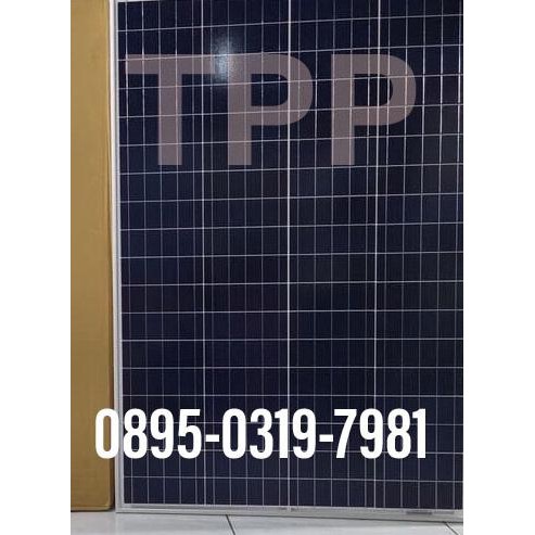 PROMO Panel Surya Poly 100 WP Solar Panel 100WP TENAGA SURYA