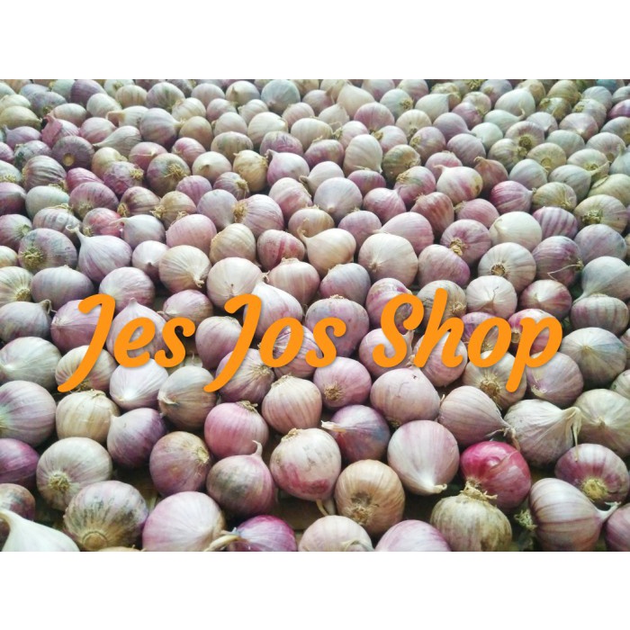 

LAINNYAKESEHATAN- BAWANG PUTIH TUNGGAL 500 GRAM -KESEHATAN-LAINNYA.