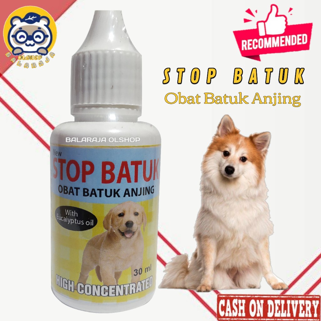 OBAT FLU DEMAM PILEK ANJING PUPPY STOP BATUK DOG