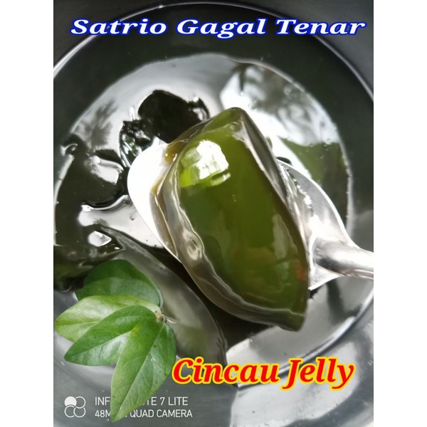 

Daun Cincau jelly organik