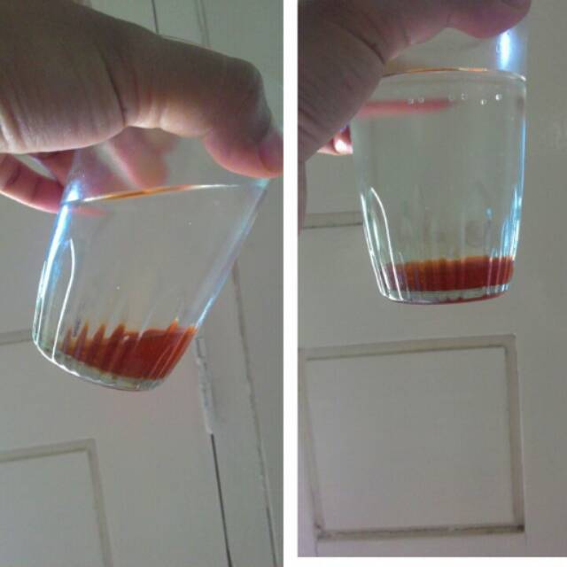 

madu sialang asli