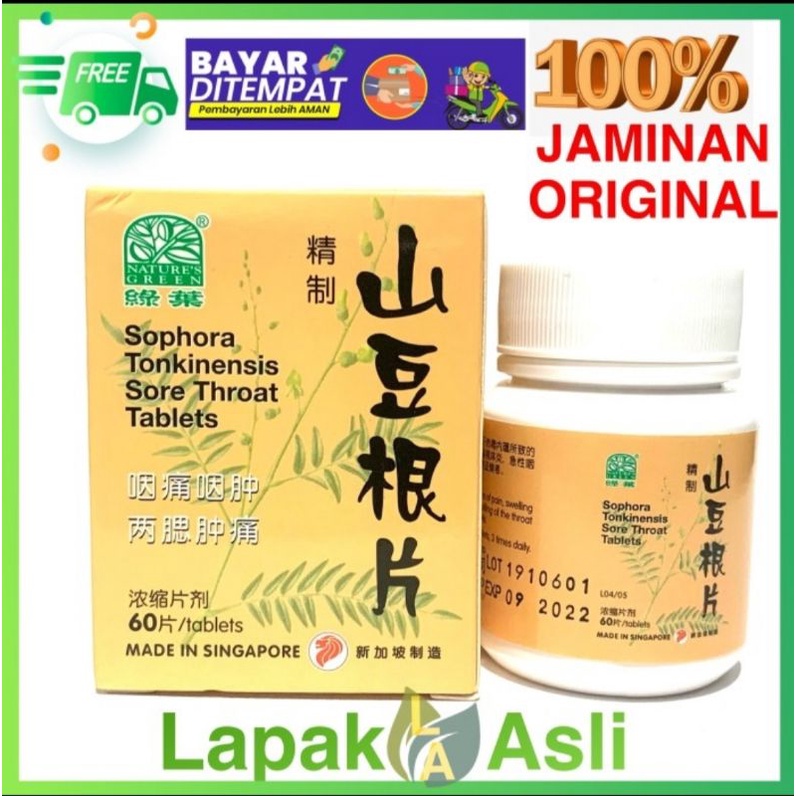 OBAT CINA/OBAT HERBAL/Obat Nature's Green Sophora Tonkinensis Sore Throat/Obat Gondok