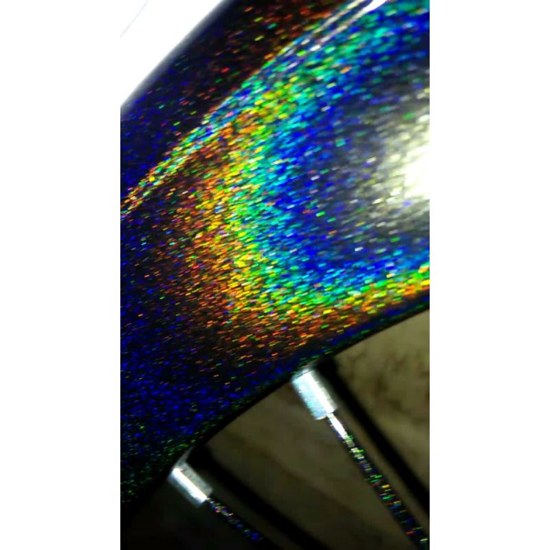 

cat hologram