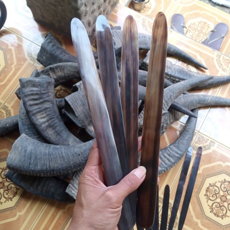 Pisau tanduk kupas kelapa (thailand)