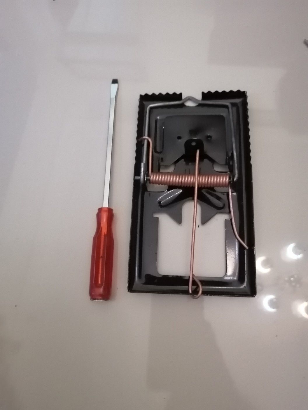 Perangkap / Jebakan / Jepretan Tikus