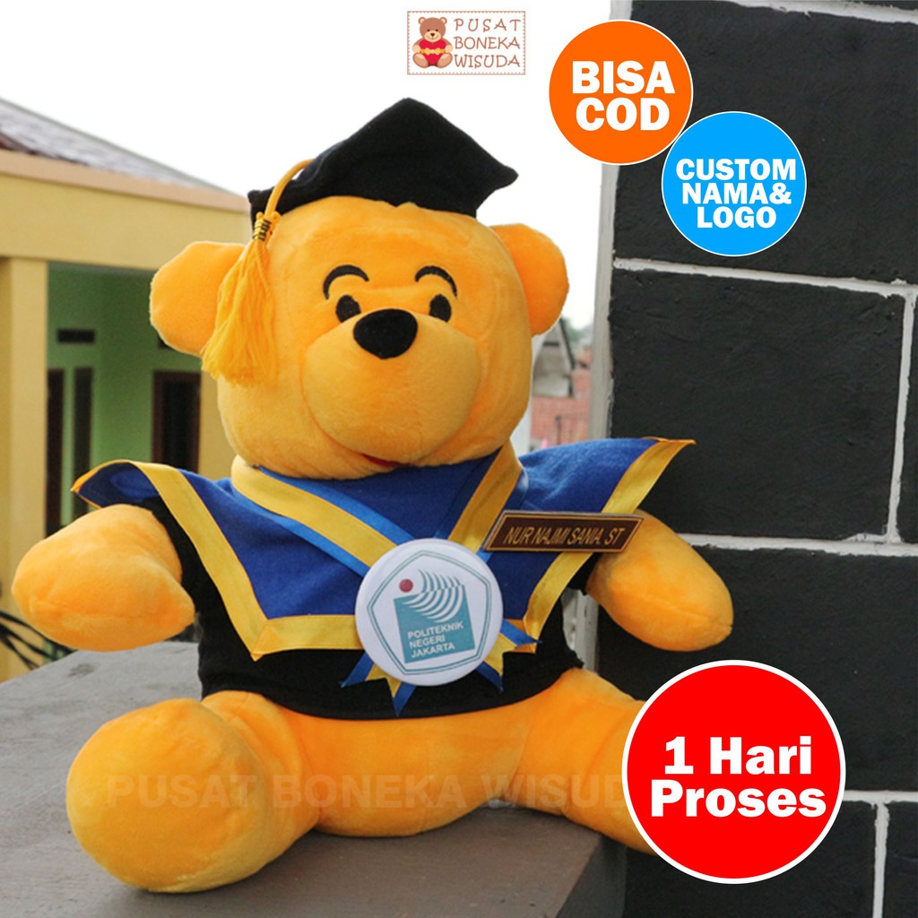 Boneka Wisuda Winnie the Pooh Orange Kado Hadiah Skripsi Graduation Kelulusan Kampus Jakarta Depok