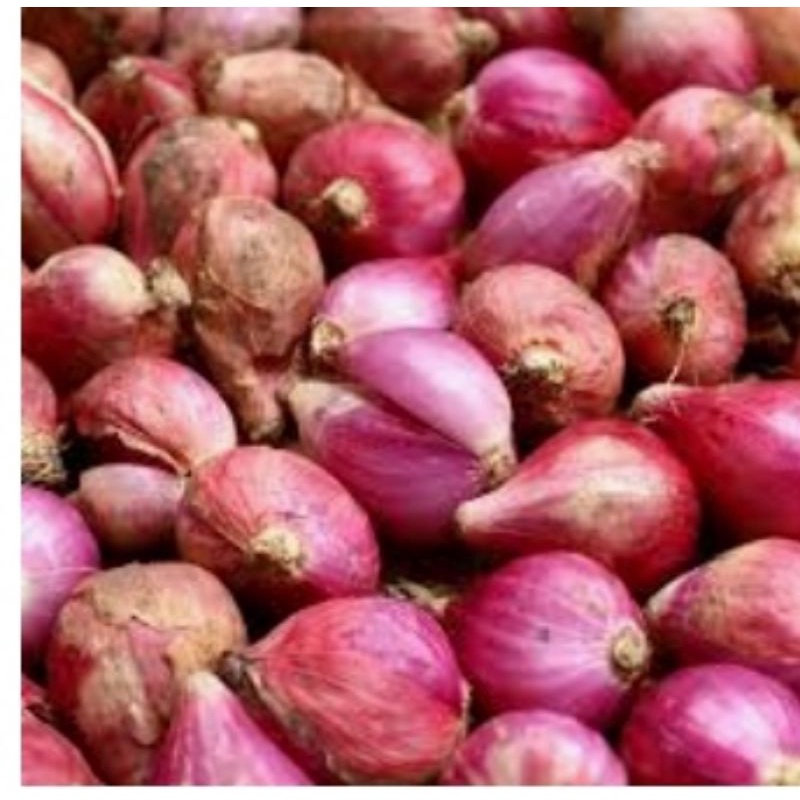

BAWANG MERAH