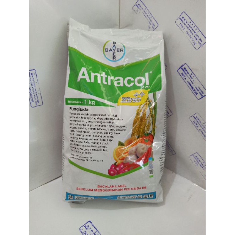 FUNGISIDA ANTRACOL 70 WP + ZINC 1 KG BAYER