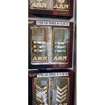 pangkat ASN/PNS Sumsel gol 3c, semua pangkat ASN ada