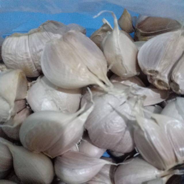 

Bawang putih kating