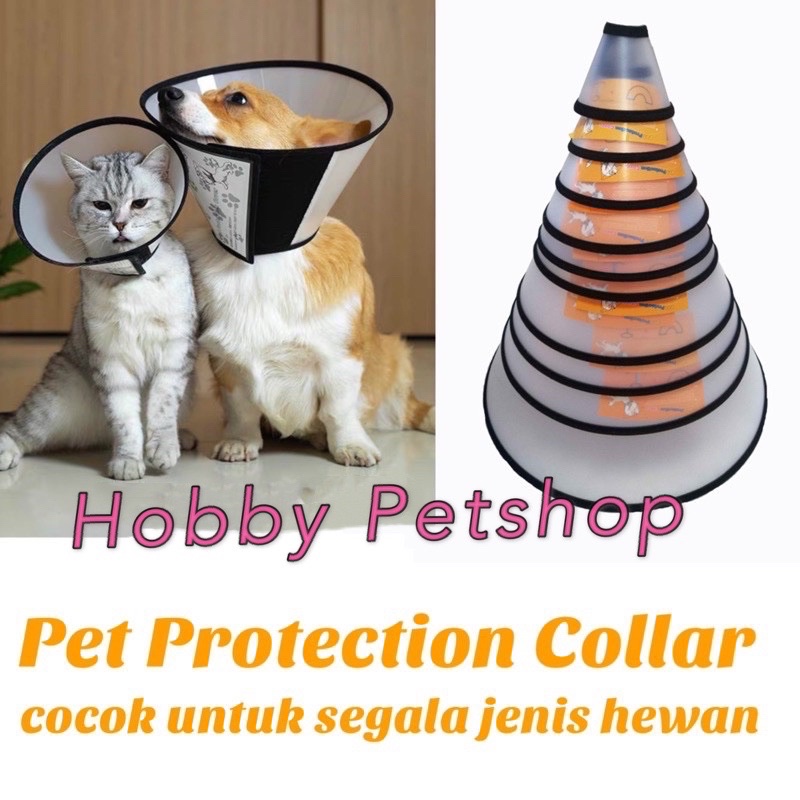 collar corong - pet protection kalung kucing anjing steril cone neck colar pelindung