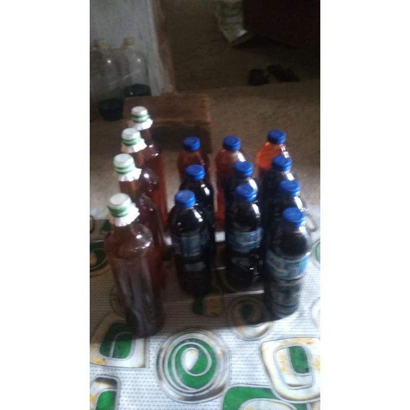 

madu lebah hutan sumatera