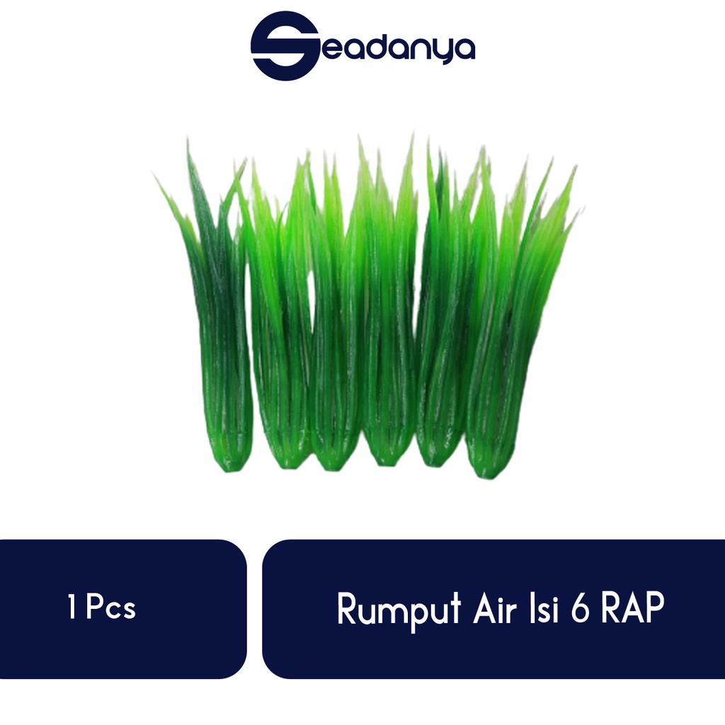 

Rumput Air Isi 6 RAP/Hiasan Rumput Air/Hiasan Kue Tart/Hiasan Kue Ulang Tahun/Rumput Air Hiasan Kue Tart/Hiasan Cup Cake/Brownies/Cake/Pesta/Ulang Tahun/Pernak Pernik