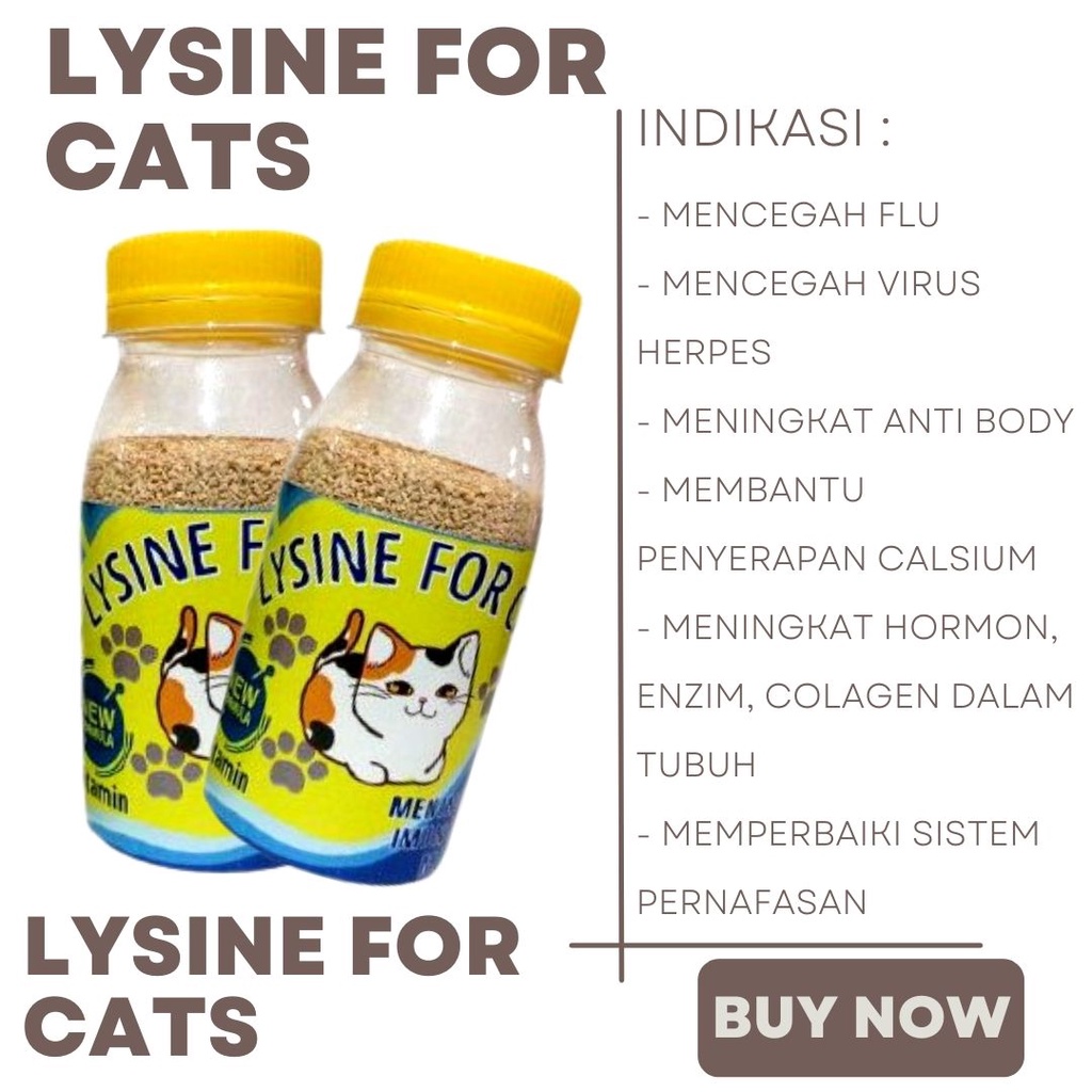 Lysine Penggemuk Kucing Meningkatkan Immune dan Nafsu Makan Kucing Cat Kitten Original Garansi Termurah BEST SELLER  FEZONE