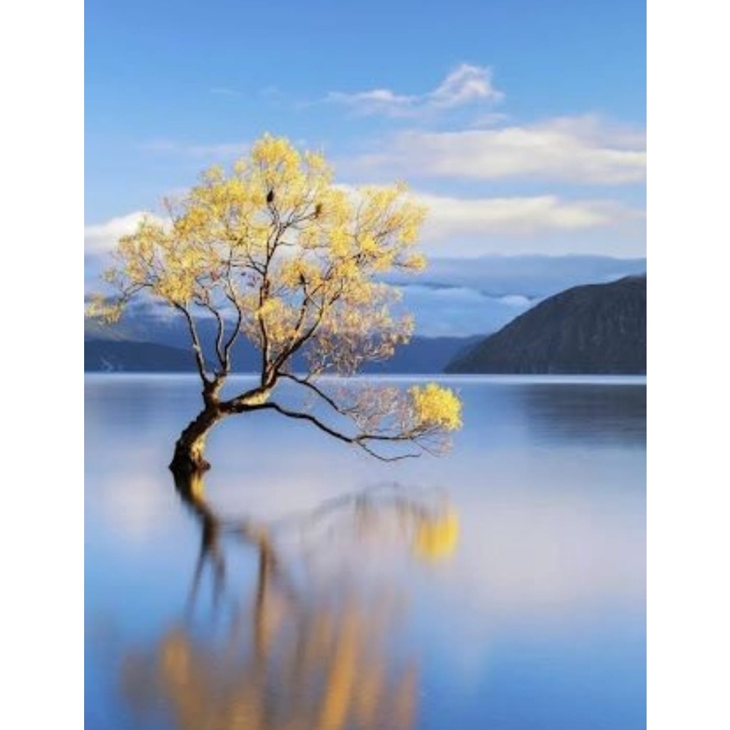 Lukisan kanvas pemandangan pantai 130x90 cm RD b4 ed