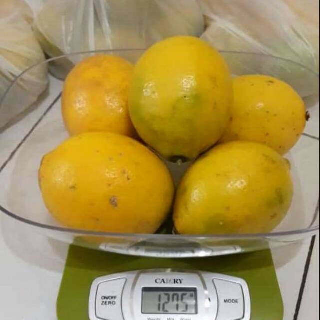 

Lemon lokal