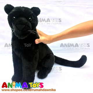 95 Gambar Hewan Macan Kumbang Gratis