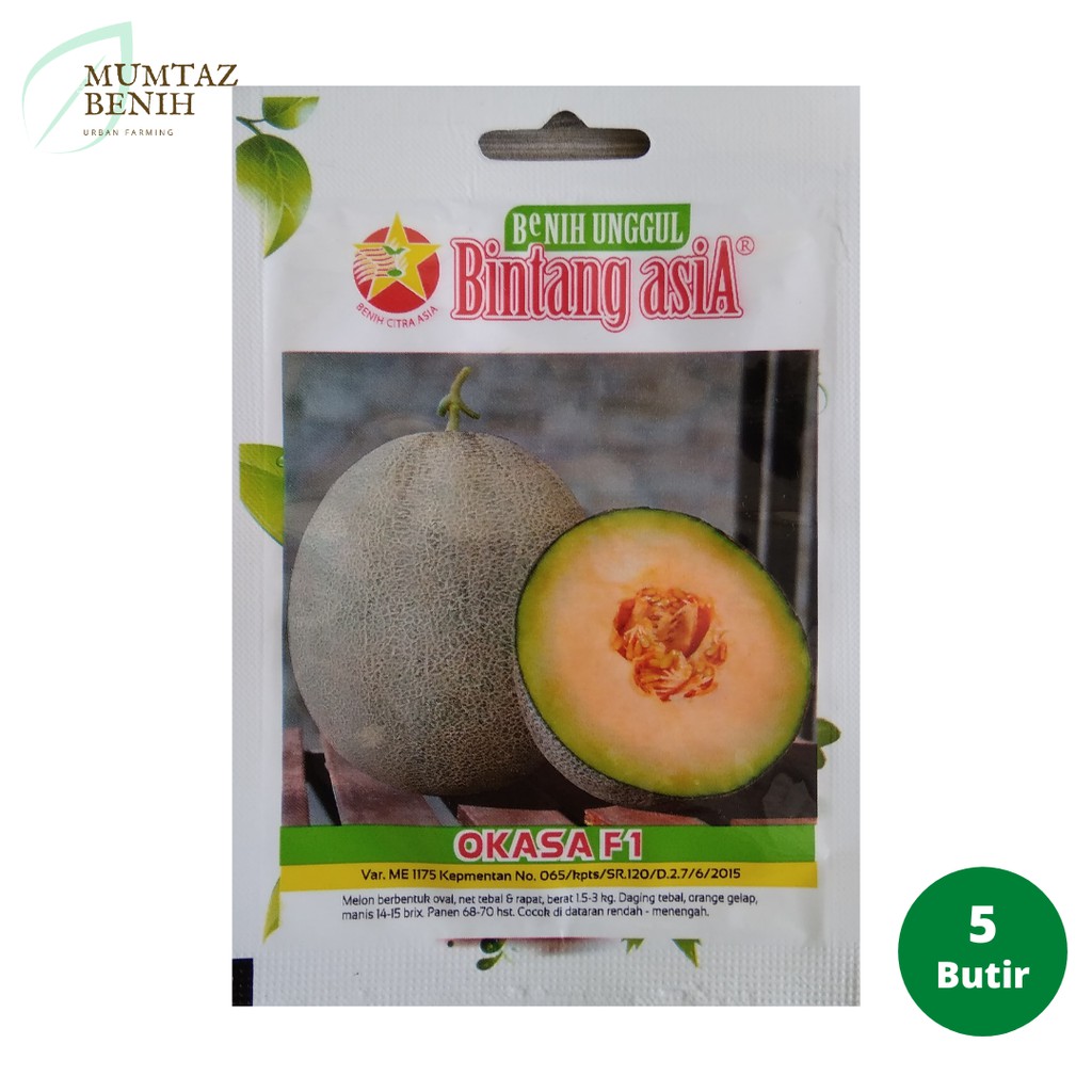 Benih Rock Melon Okasa F1 (Bintang Asia)