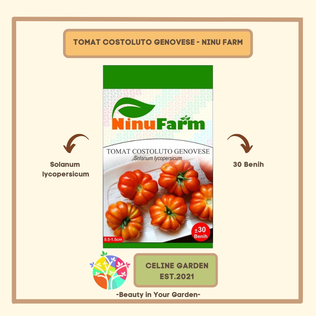 BIBIT TOMAT COSTULOTO / COSTULOTO GENOVESE / NINUFARM / KEMASAN ASLI