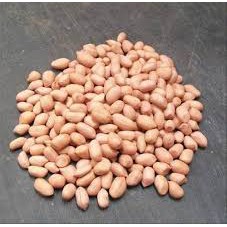 

KACANG TANAH