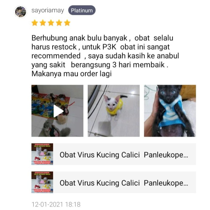 Obat Virus Kucing Calici  Panleukopenia Distemper Paling Ampuh Antivirus Cat