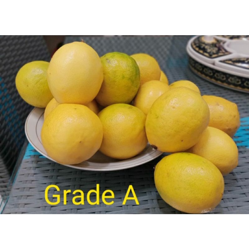 

Jeruk Lemon California