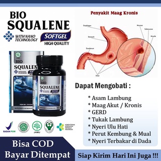 Jual Obat Dispepsia Obat Perut Buncit Perut Kembung Nyeri Ulu Hati ...