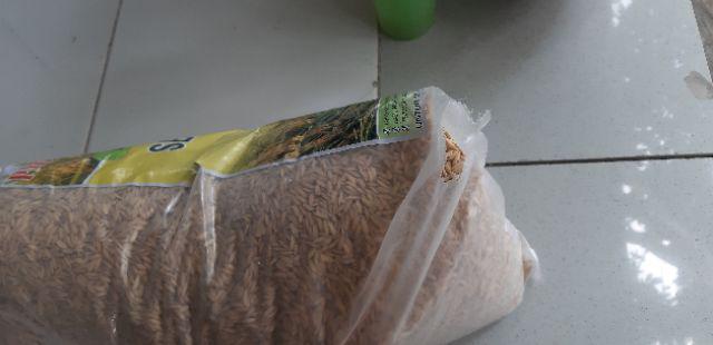 Benih Padi Unggul Indrida Sertani 14 Bibit Padi