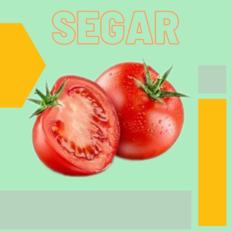 

1000gram/1kg Tomat Sayuran Segar Bandung Saus Tomat Tanaman Segar Manan Segar