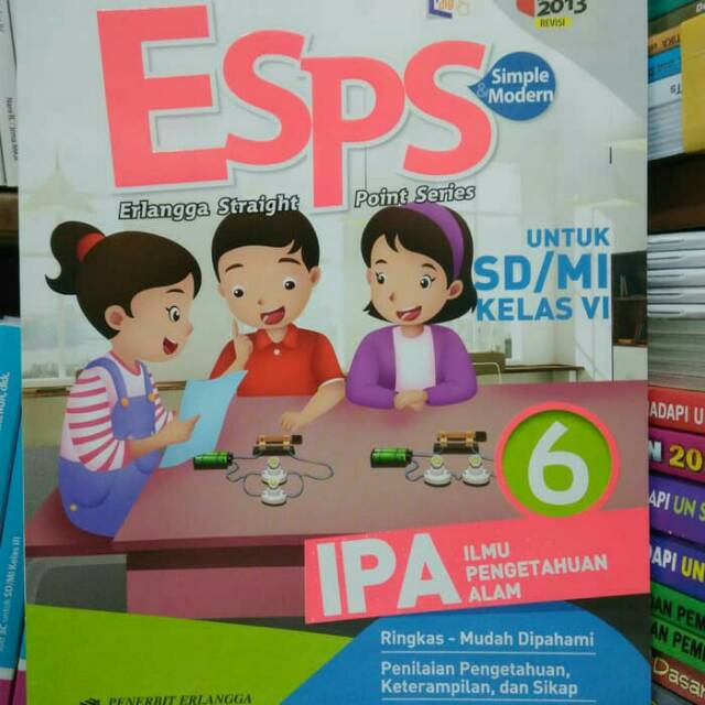 Esps ipa 6 k 2013