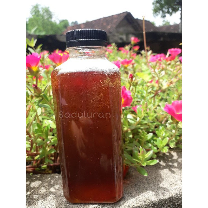 

Madu Murni Melifera multifora