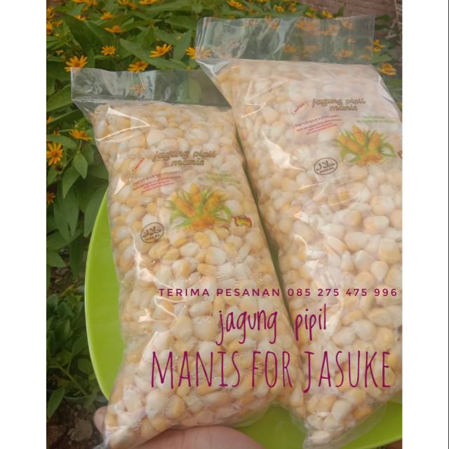 jagung pipil manis / jagung manis / jagung manis untuk jasuke