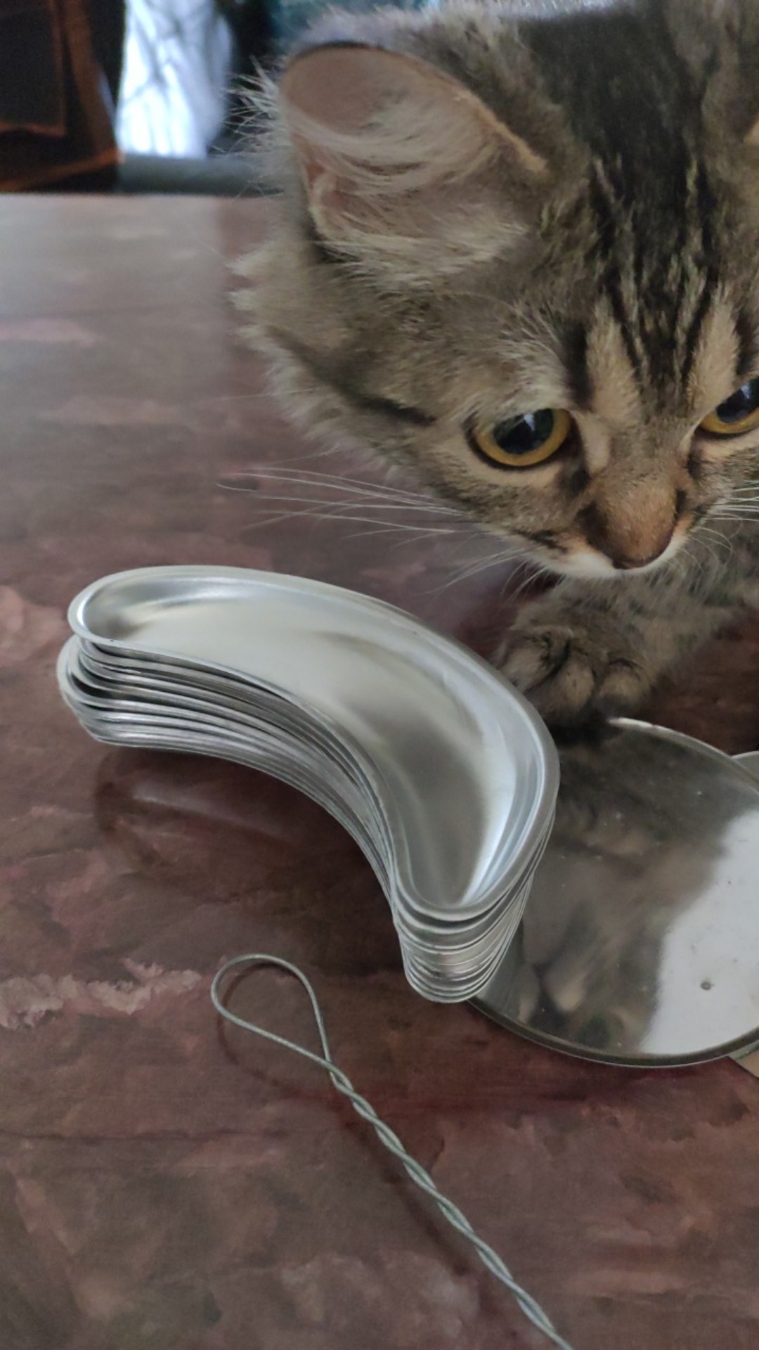 Cetakan Banana Cake Kue Pisang Tokyo Banana