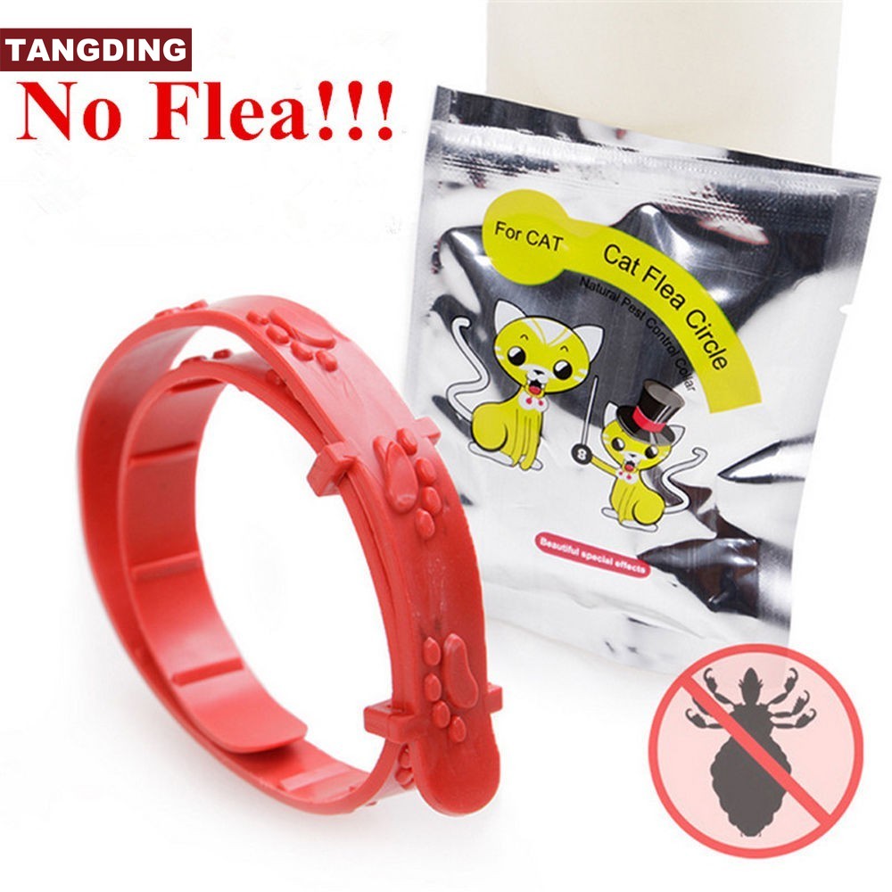 【COD Tangding】Kalung Leher Adjustable Anti Kutu Warna Merah Untuk Kucing