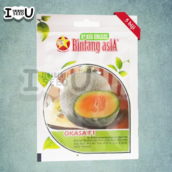 Bibit-Biji Rock Melon Okasa F1 - Bintang Asia