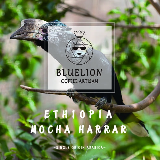 

ge01fgf Ethiopia Mocha Harrar 200 Gr - Kopi Bluelion - Medium Roast - Biji Ds20X11