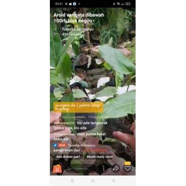 Pesanan kak lizaapristyana Anthurium garuda 10rb+begonia bintang 2 10rb+Scindapsus exotica 2 10rb+ d