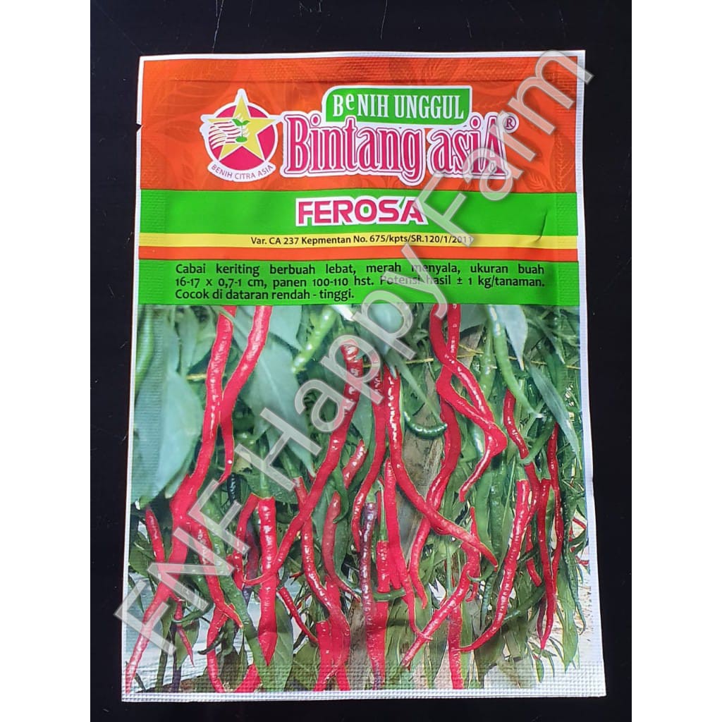 Benih Cabe Besar Ferosa | 10gr