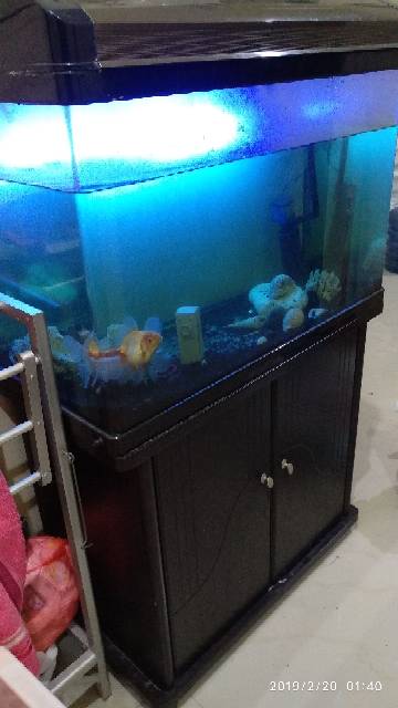 Preloved aquarium boyu lengkap