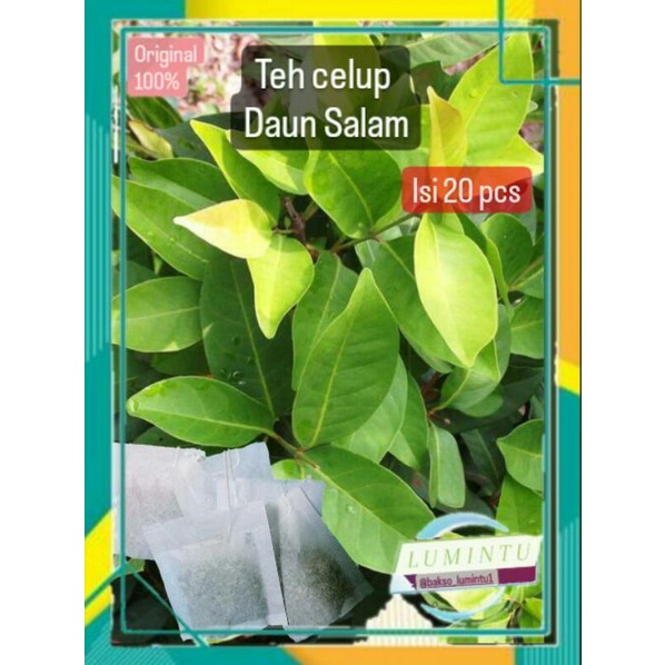 Teh Celup Daun Salam original isi 20 pcs , teh celup , daun salam , daun salam herbal , herbal , poh