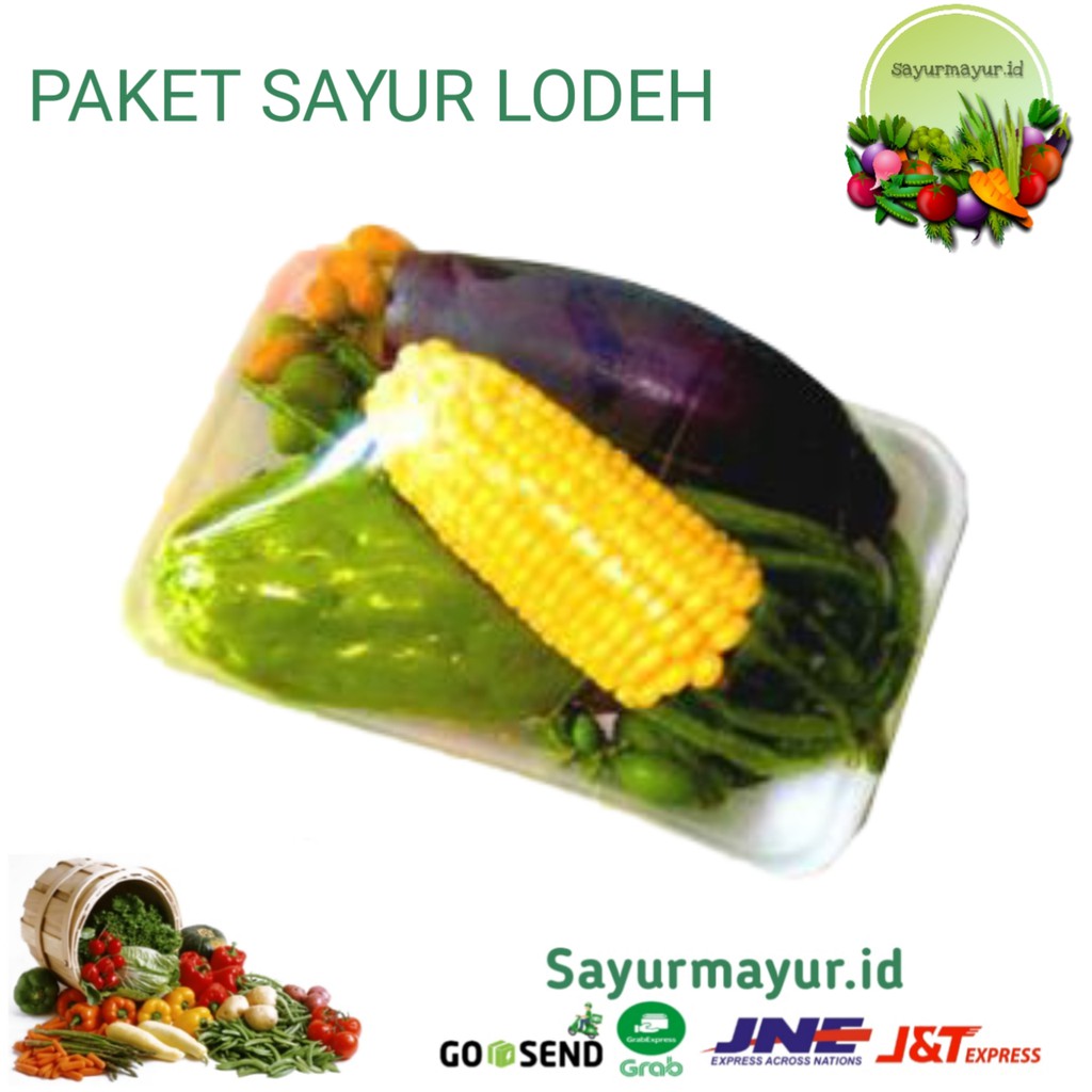 

PAKET SAYUR LODEH LENGKAP