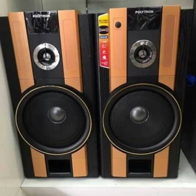 Speaker Polytron PAS 62