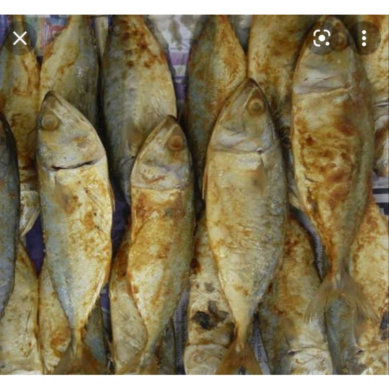 

IKAN ASIN ASLI PANGANDARAN