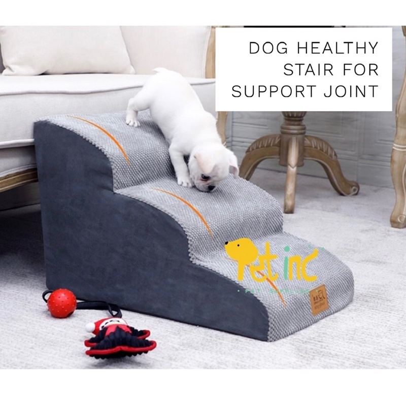 Healthy dog stair (tangga kesehatan untuk anjing)