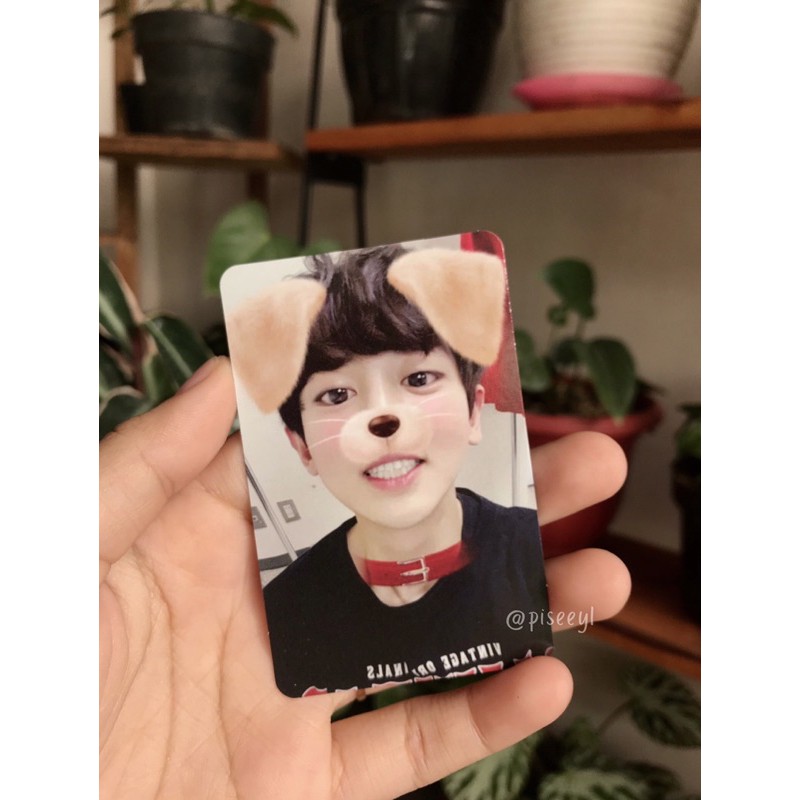 Official Pc Chanyeol for life