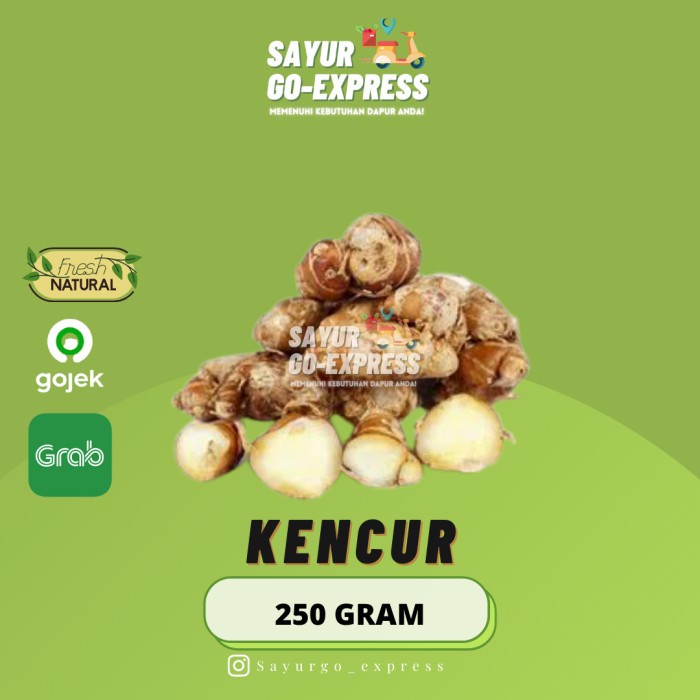 

kencur segar 100 gram