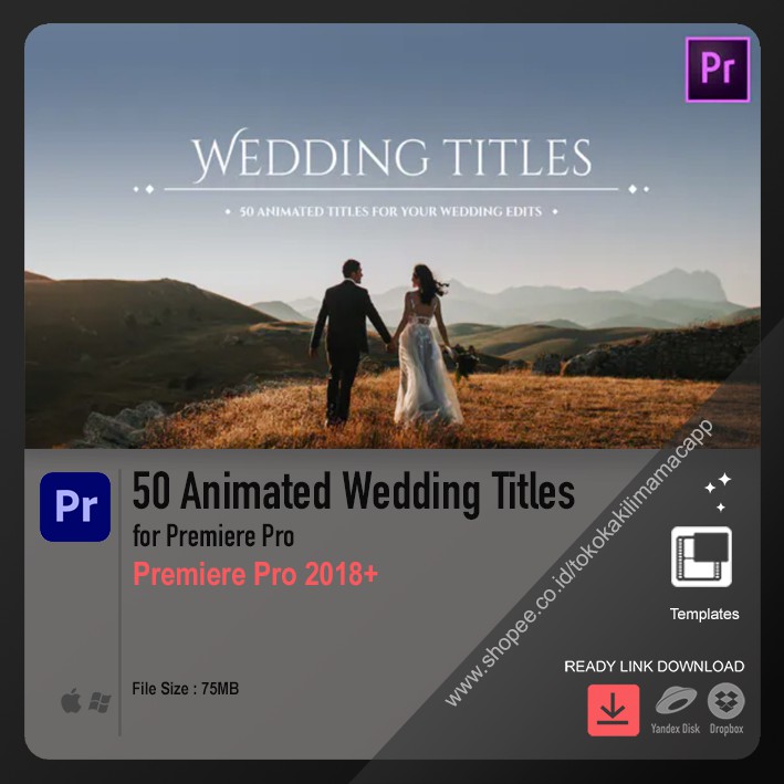 50 Animated Wedding Titles for Premiere Pro
