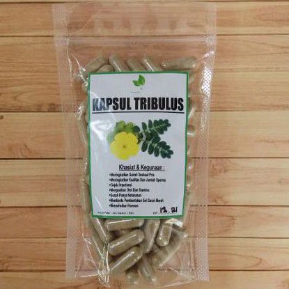 Kapsul Tribulus Testoteron Booster penambah hormon