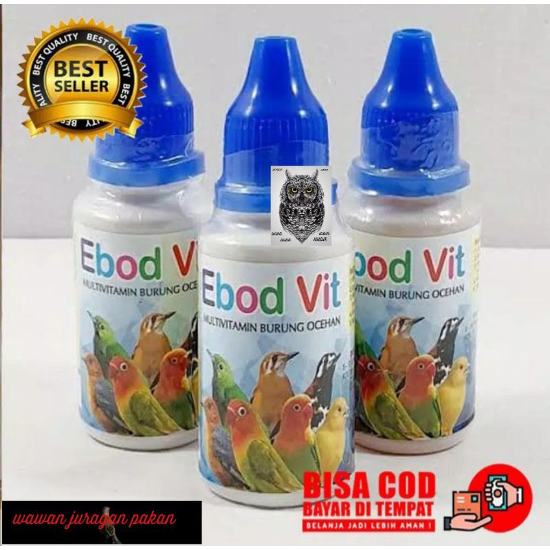 Ebod vit, vitamin burung, obat gacor