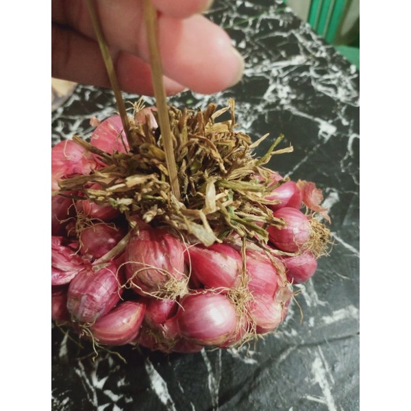 

BAWANG MERAH